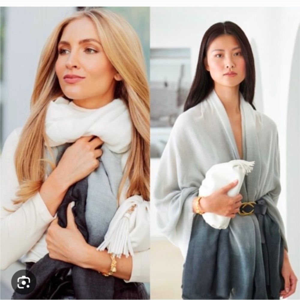 Carly Cushnie NWT Gray Horizon Ombré Scarf NEW